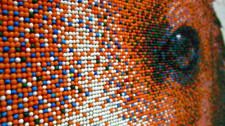 Illustration for article titled This Dog Is Made Entirely of Sprinkles